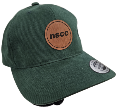 Adult Brushed Cotton Twill Mid-Profile Cap (Velcro)